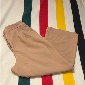Abercrombie & Fitch curve love Beige khaki pleated Trousers